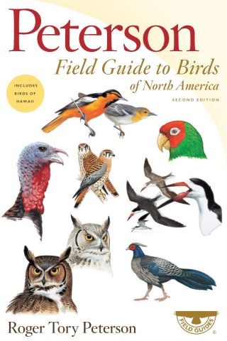 Peterson Field Guide to Birds of North America, Second Edition Cover Image