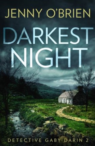 Darkest Night (Detective Gaby Darin, Book 2) Cover Image