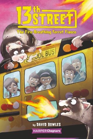 13th Street #2: The Fire-Breathing Ferret Fiasco Cover Image