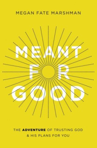 Meant for Good Cover Image