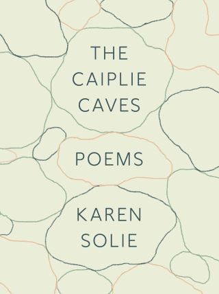 The Caiplie Caves Cover Image