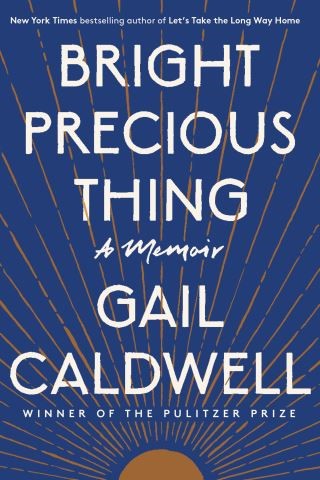 Bright Precious Thing Cover Image