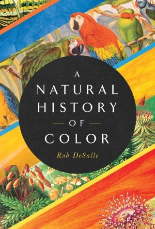 A Natural History of Color Cover Image