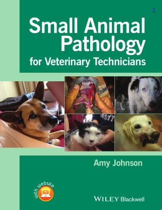 Small Animal Pathology for Veterinary Technicians Cover Image