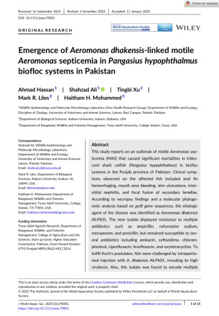 Emergence of Aeromonas dhakensis-linked motileAeromonas septicemia in Pangasius hypophthalmusbiofloc systems in Pakistan Cover Image