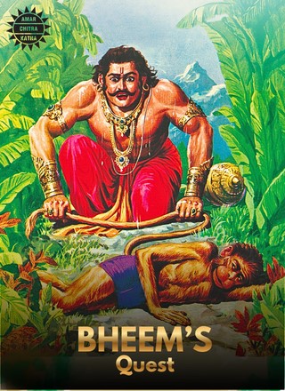 Bheem's Quest Cover Image