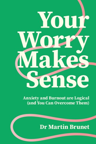 Your Worry Makes Sense  Cover Image
